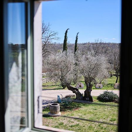 Winery Cuj Bed & Breakfast Vilanija Экстерьер фото
