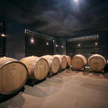 Winery Cuj Bed & Breakfast Vilanija Экстерьер фото